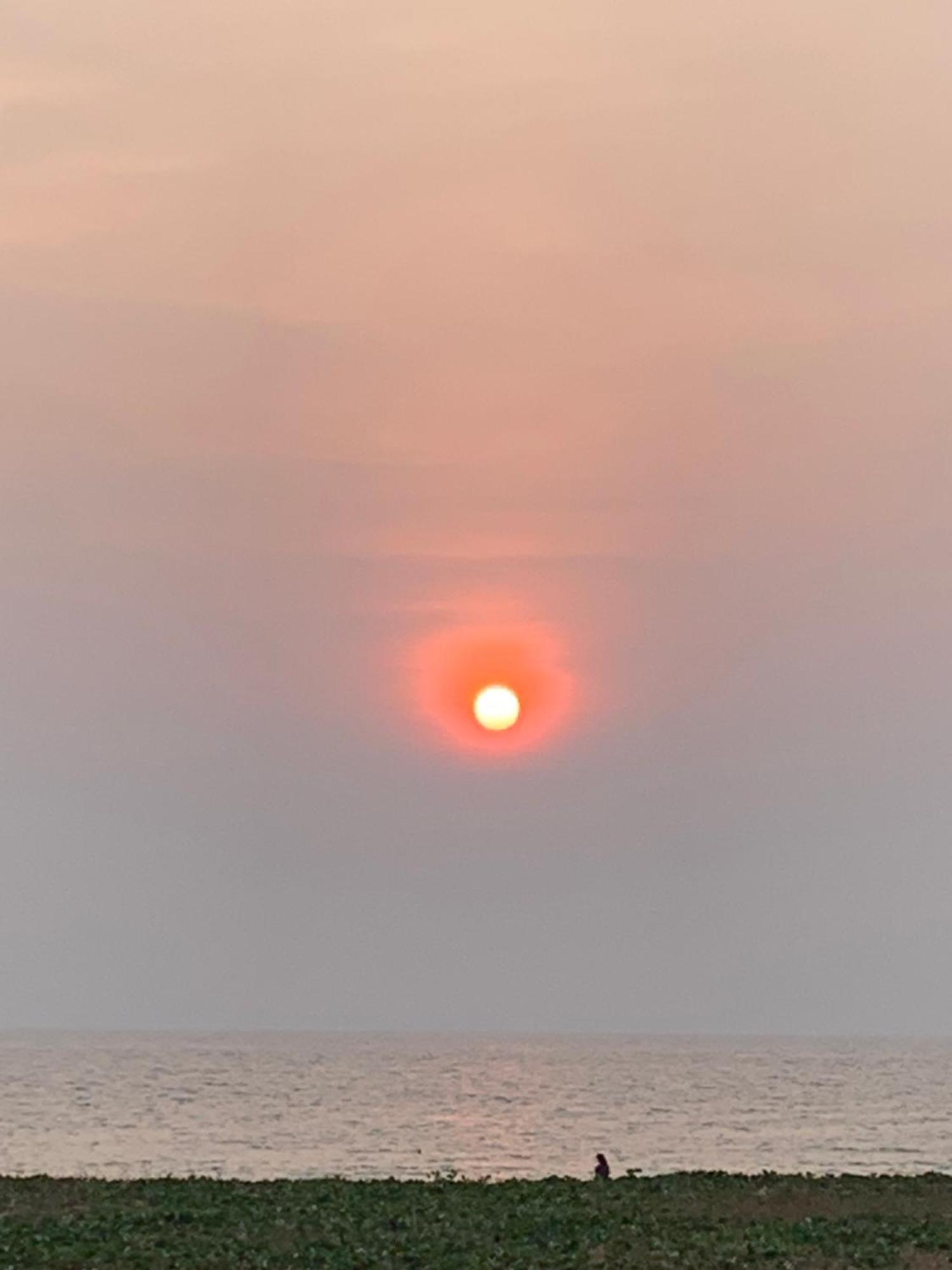 Douceurs Des Iles Daire Fréjus Dış mekan fotoğraf